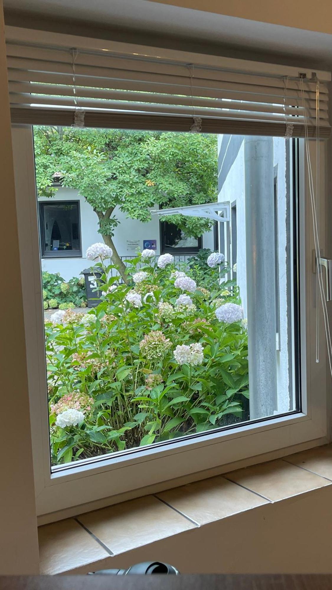 뒤스부르크 Oase Im Gruenen Hinterhof, Eg, Ruhe, Terrasse, Carport, Free Paytv, Kaffee&Tee, Fahrraeder 아파트 외부 사진